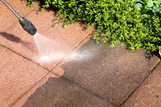 Best Deck Cleaning Services  in Wheeling, IL